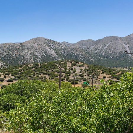 Villa Skyphos Ammoudari Экстерьер фото